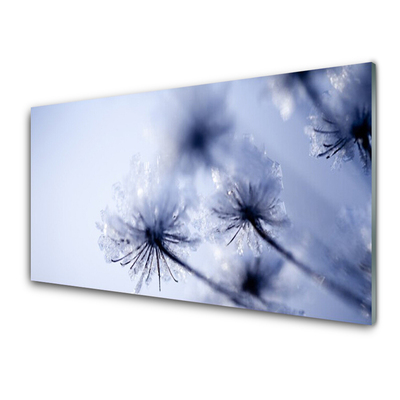 Slika na akrilnem steklu Dandelion rastlin