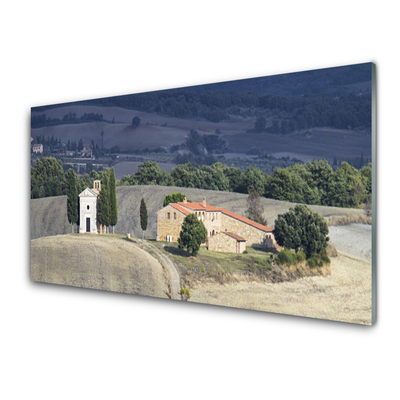 Slika na akrilnem steklu Travnik drevesa landscape