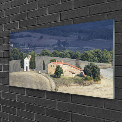 Slika na akrilnem steklu Travnik drevesa landscape