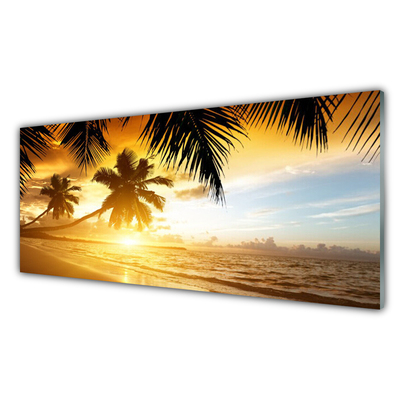Slika na akrilnem steklu Palm beach sea landscape
