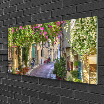 Slika na akrilnem steklu Hiše alley cvetovi rastlin
