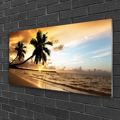 Slika na akrilnem steklu Palm trees beach landscape