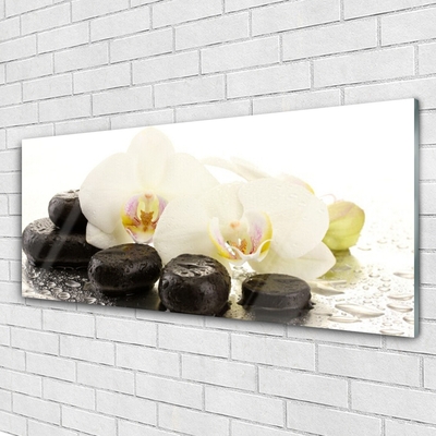 Slika na akrilnem steklu Flower stones art