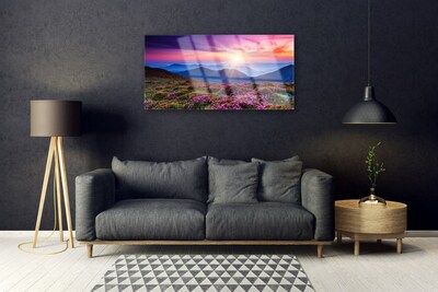 Slika na akrilnem steklu Sun mountain travnik landscape
