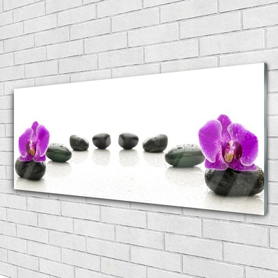Slika na akrilnem steklu Orhideje cvet prodniki