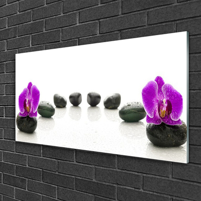 Slika na akrilnem steklu Orhideje cvet prodniki