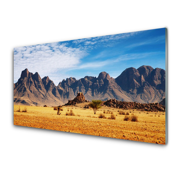 Slika na akrilnem steklu Desert mountain landscape
