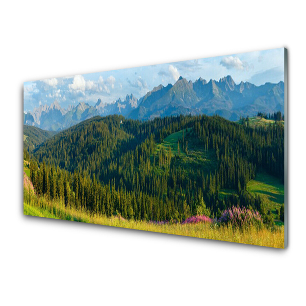 Slika na akrilnem steklu Mount forest narava