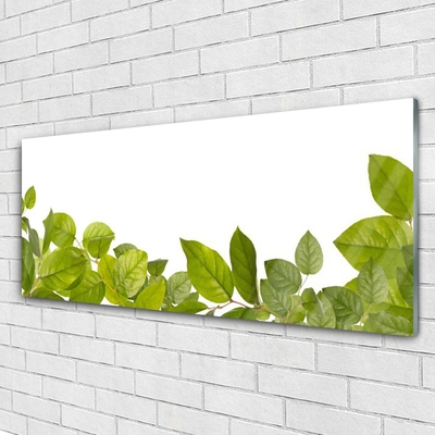 Slika na akrilnem steklu Listi narava rastlin