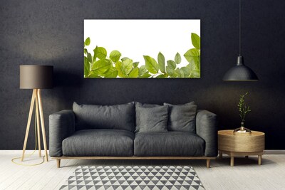 Slika na akrilnem steklu Listi narava rastlin