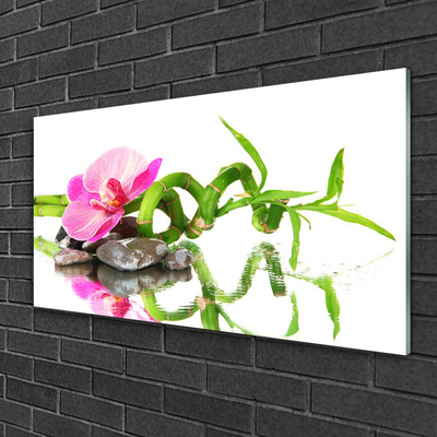 Slika na akrilnem steklu Bambus flower stones art