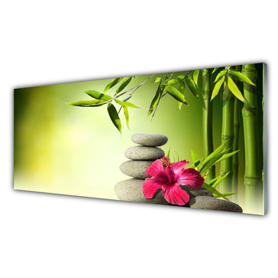 Slika na akrilnem steklu Flower bamboo zen kamni