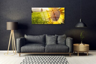 Slika na akrilnem steklu Sončnica flower rastlin