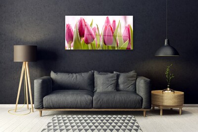 Slika na akrilnem steklu Tulipani cvetovi rastlin