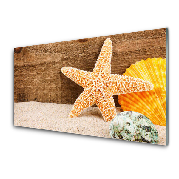 Slika na akrilnem steklu Starfish sand art