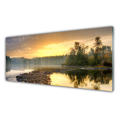 Slika na akrilnem steklu Jezero ribnik landscape