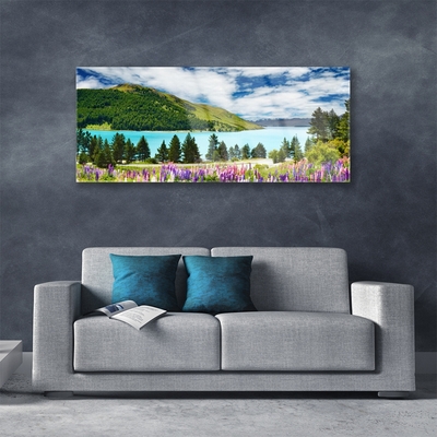 Slika na akrilnem steklu Mountain forest lake landscape