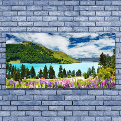 Slika na akrilnem steklu Mountain forest lake landscape