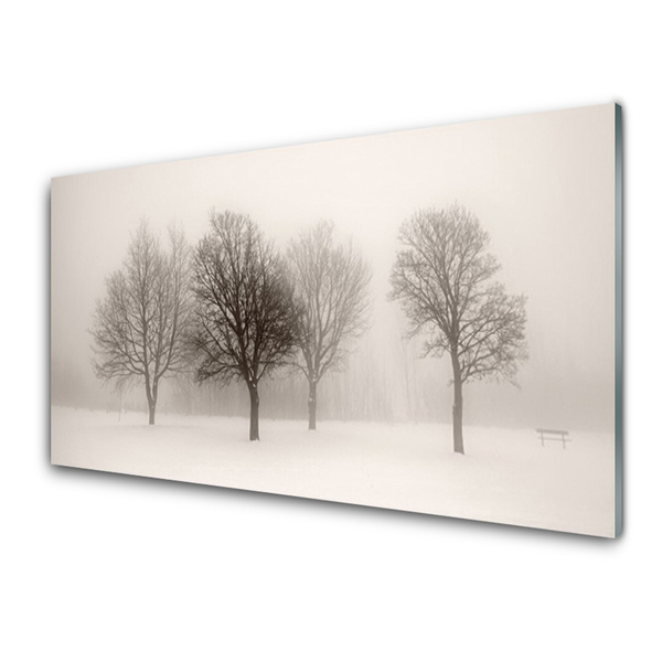 Slika na akrilnem steklu Sneg landscape drevesa