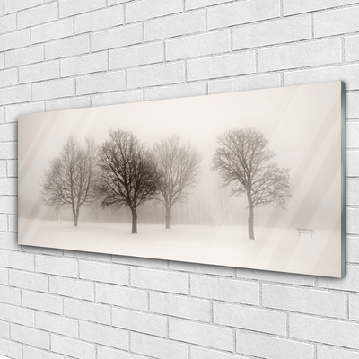 Slika na akrilnem steklu Sneg landscape drevesa