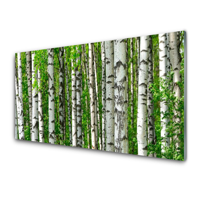Slika na akrilnem steklu Narava rastlin forest trees