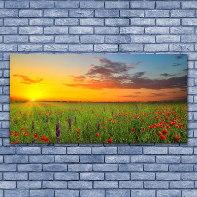 Slika na akrilnem steklu Sun travnik flowers narava