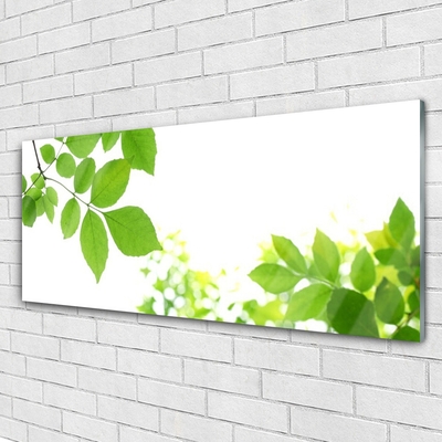 Slika na akrilnem steklu Narava cvetnih listov rastlin