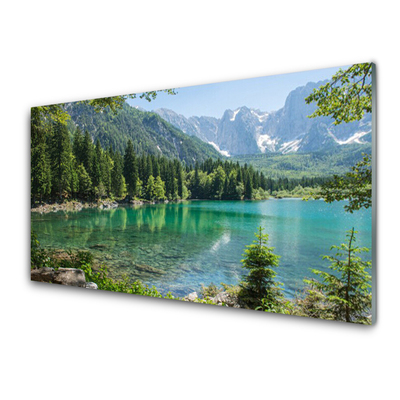 Slika na akrilnem steklu Narava mountains lake forest