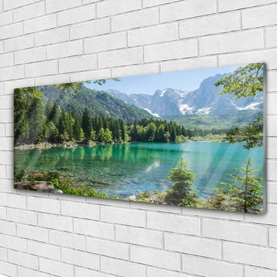 Slika na akrilnem steklu Narava mountains lake forest