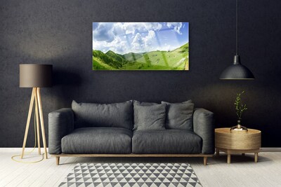 Slika na akrilnem steklu Mountain travnik narava field