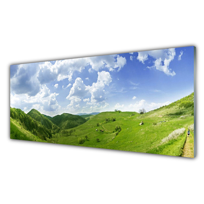 Slika na akrilnem steklu Mountain travnik narava field