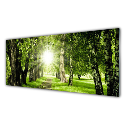 Slika na akrilnem steklu Sun forest narava pot
