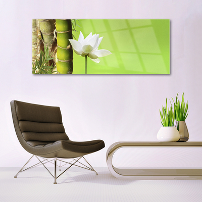 Slika na akrilnem steklu Bambus stem rastlin nature