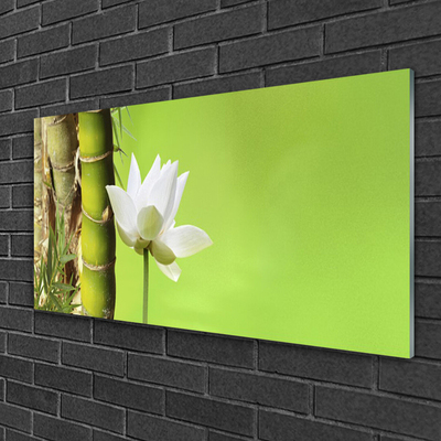 Slika na akrilnem steklu Bambus stem rastlin nature