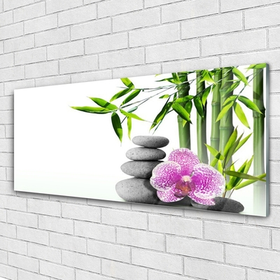 Slika na akrilnem steklu Spa zen bamboo art