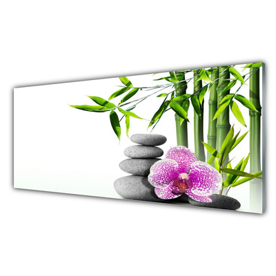Slika na akrilnem steklu Spa zen bamboo art