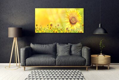 Slika na akrilnem steklu Sončnica flower rastlin