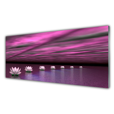 Slika na akrilnem steklu Rože narava voda rastlin