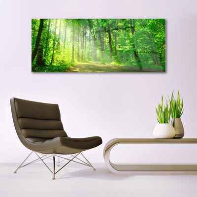 Slika na akrilnem steklu Gozdna pot drevesa narava
