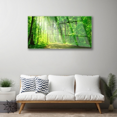Slika na akrilnem steklu Gozdna pot drevesa narava