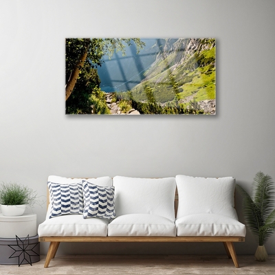 Slika na akrilnem steklu Mount forest narava