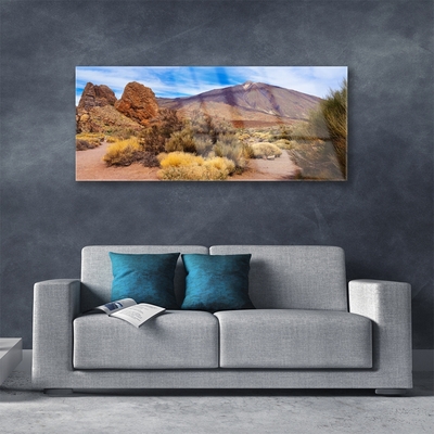 Slika na akrilnem steklu Rastline rocks mountains landscape
