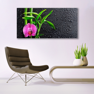 Slika na akrilnem steklu Bamboo flower drops