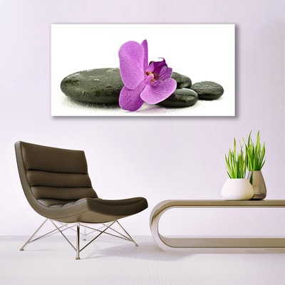 Slika na akrilnem steklu Orchid cvet orhideje