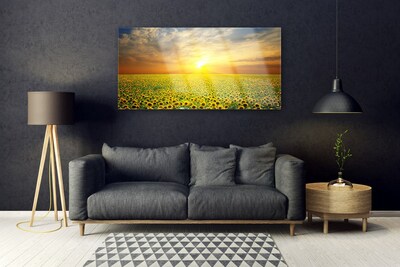 Slika na akrilnem steklu Sun meadow sončnice