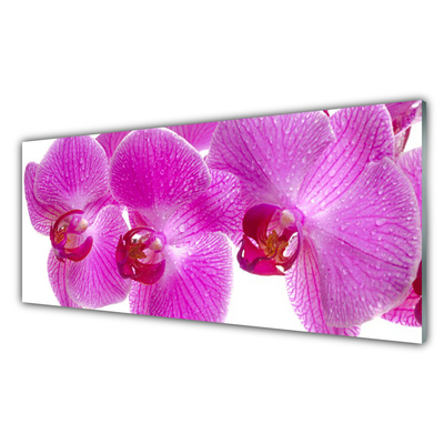 Slika na akrilnem steklu Cvetovi rastlin narava