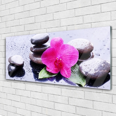 Slika na akrilnem steklu Orchid flower art