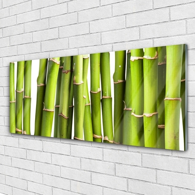 Slika na akrilnem steklu Bamboo rastlin narava