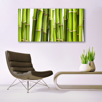 Slika na akrilnem steklu Bamboo rastlin narava