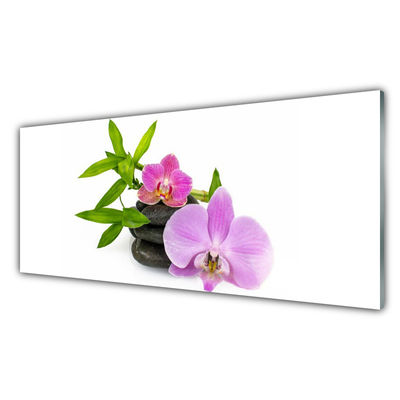 Slika na akrilnem steklu Cvet orhideje rastlin